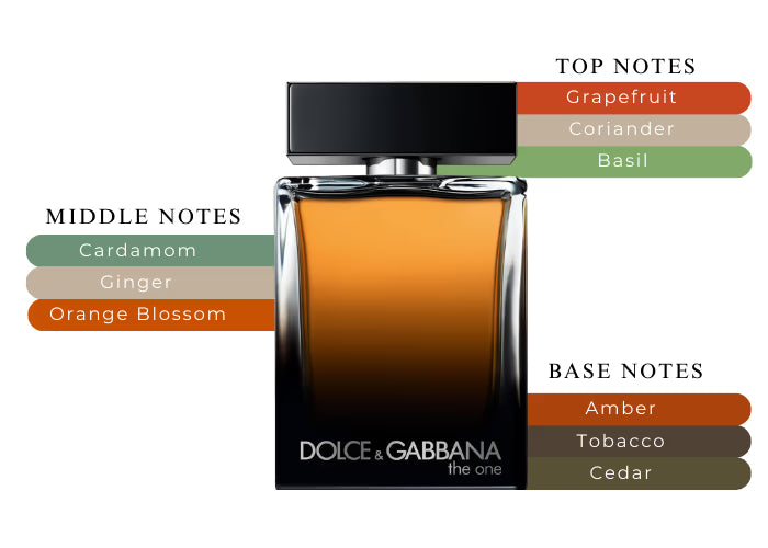 The One Eau de Parfum Dolce&Gabbana for Men